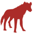 Hyena illustration