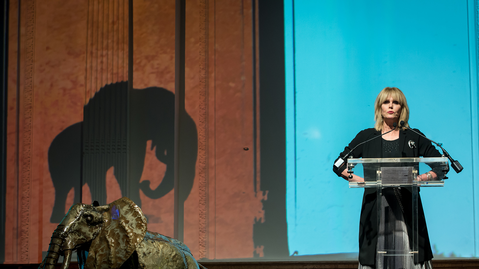 Joanna Lumley stands at a podium, while the shadow of an elephant puppet is on the wall