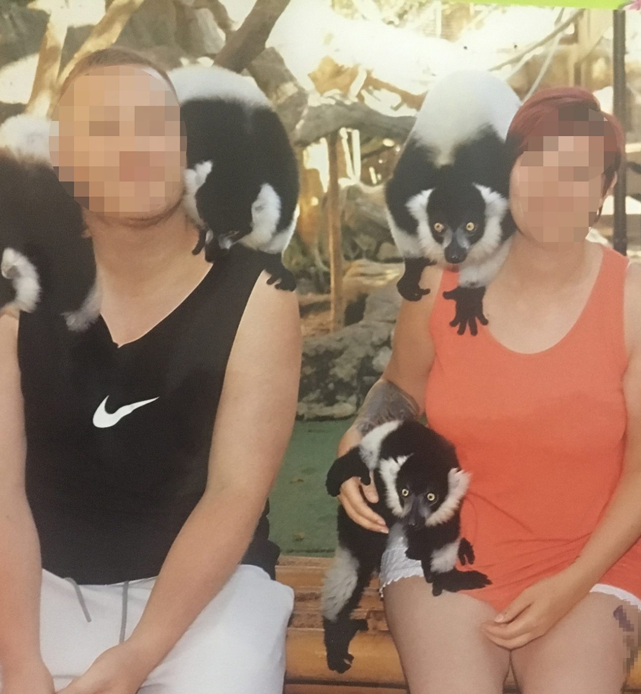 A man and woman with blurred faces sit with five lemurs on their shoulders and laps
