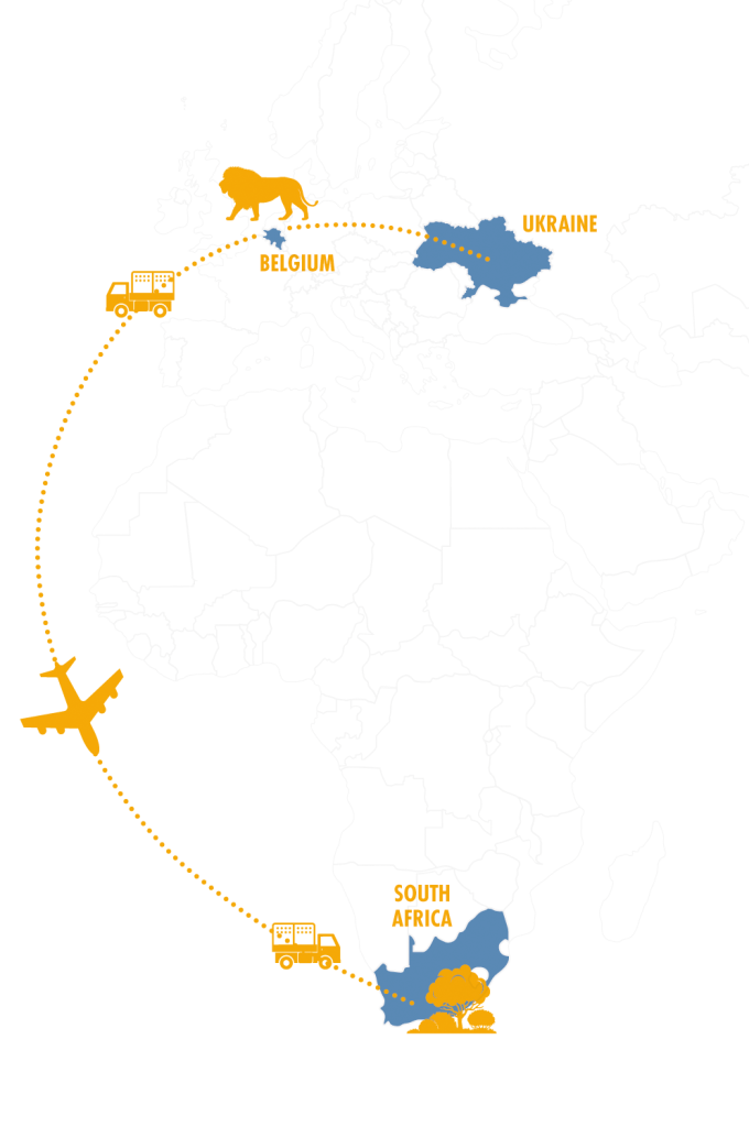 A world map showing a yellow plane flying from Belgium to South Africa