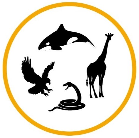 Black outlines of an orca, eagle, snake and giraffe are inside a yellow circle