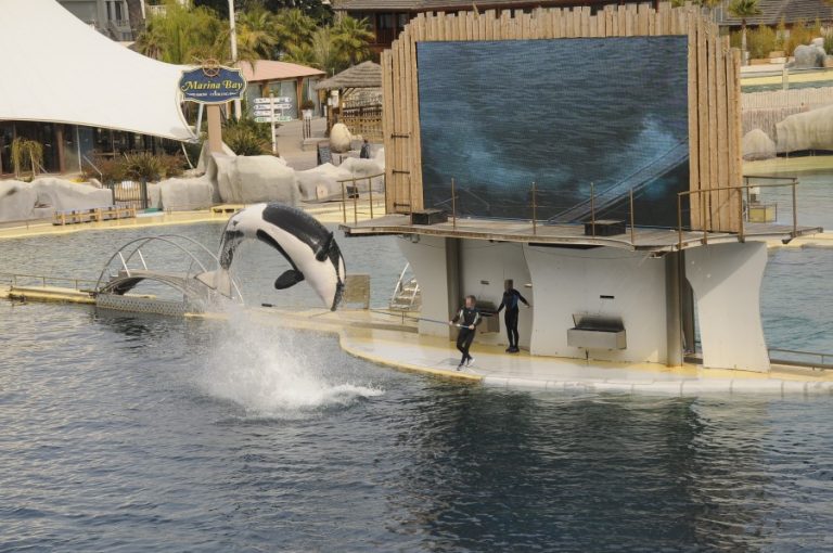 MARINELAND GALLERY