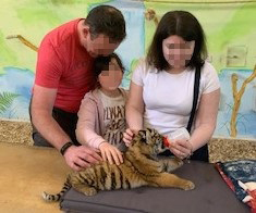 A family of two adults and a young child stand and pet a very small tiger cub on a table