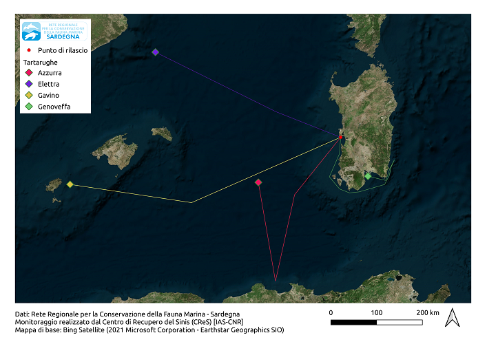 A map showing the turtles' progress in November 2021