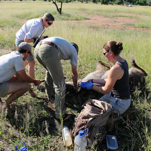 The WERU team at work in the field