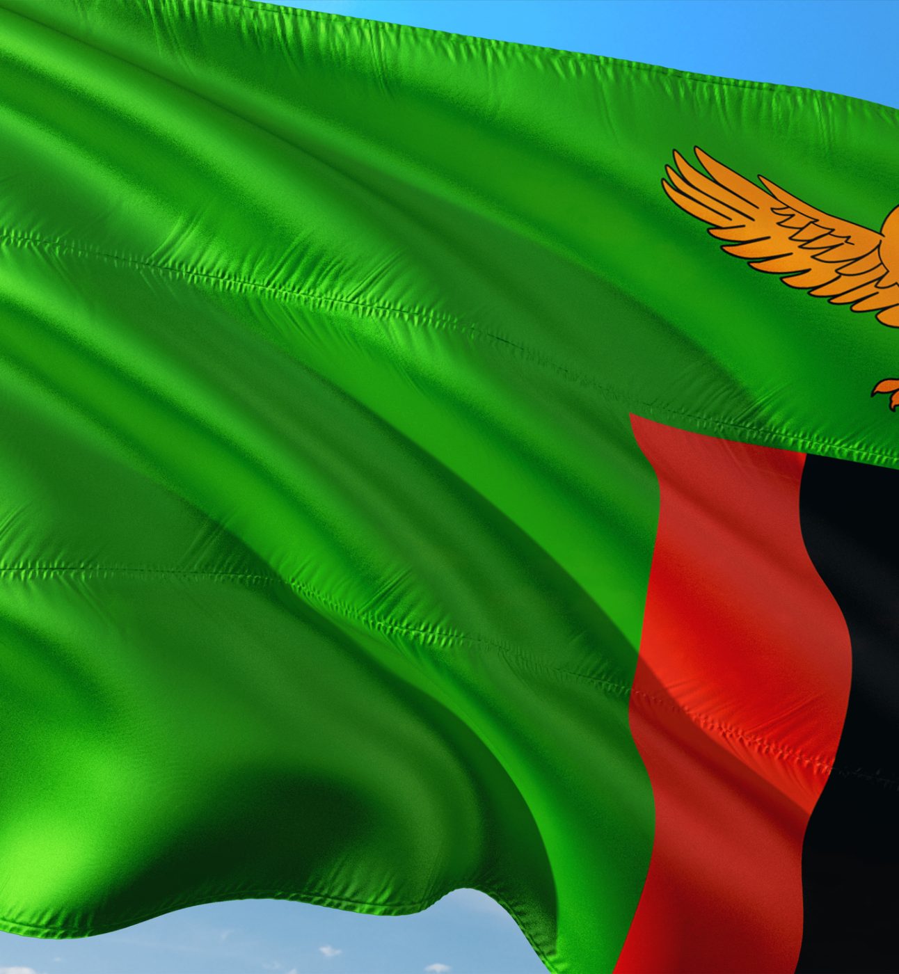 National flag of Zambia