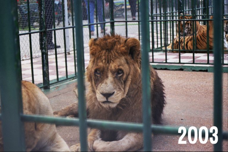 AYAMONTE ZOO GALLERY