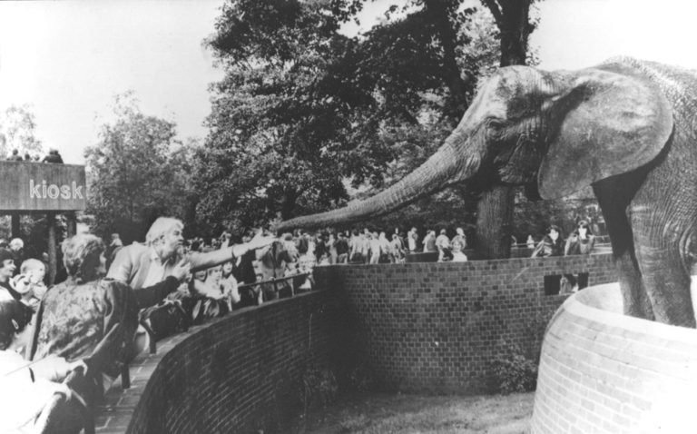 Virginia McKenna and Bill Travers with Pole Pole at London Zoo (c) Daily Mail