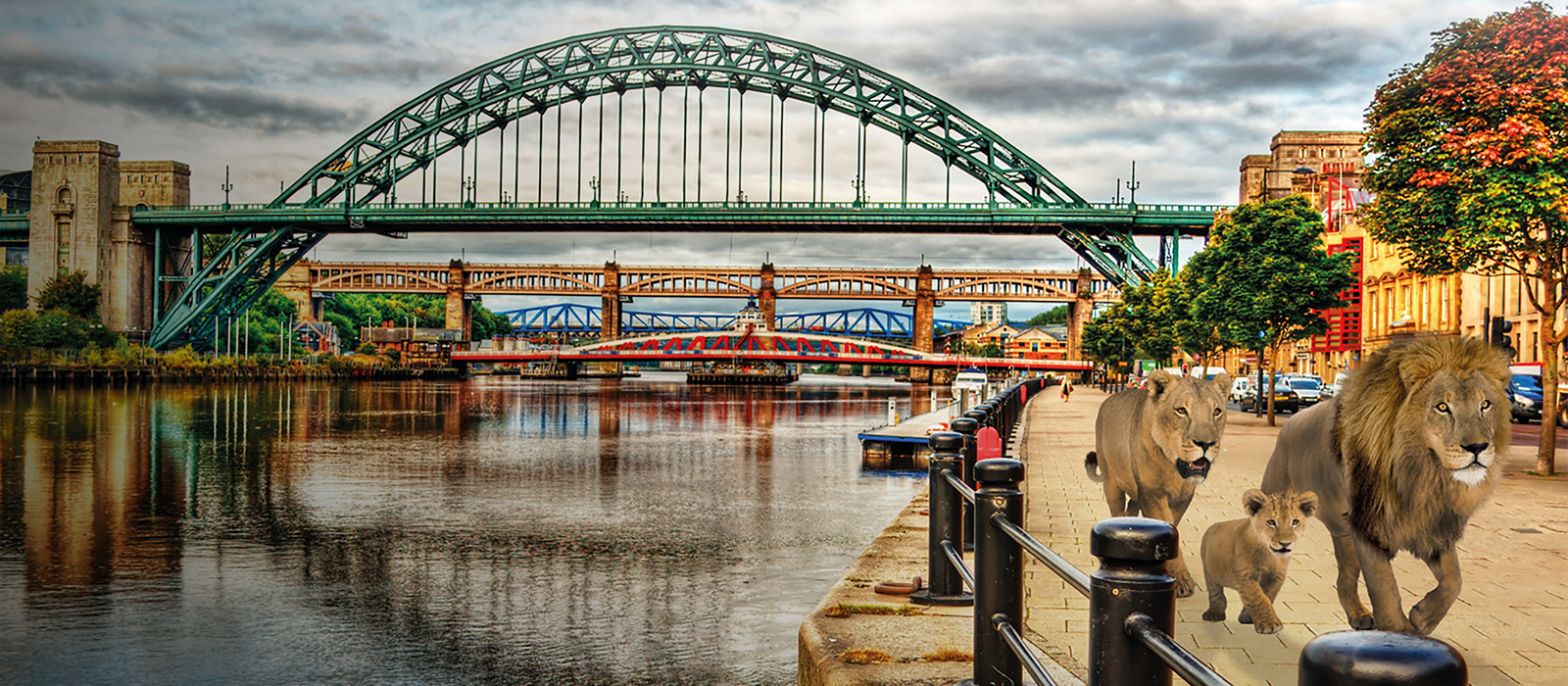 A photo showing illustrated lions walking over a bridge in Newcastle