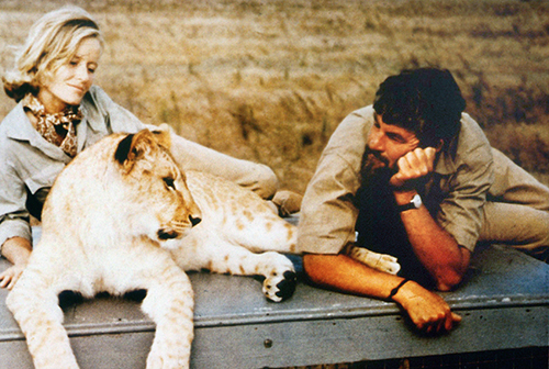 Photo of Virginia McKenna and Bill Travers on the set of Born Free with Elsa the Lioness