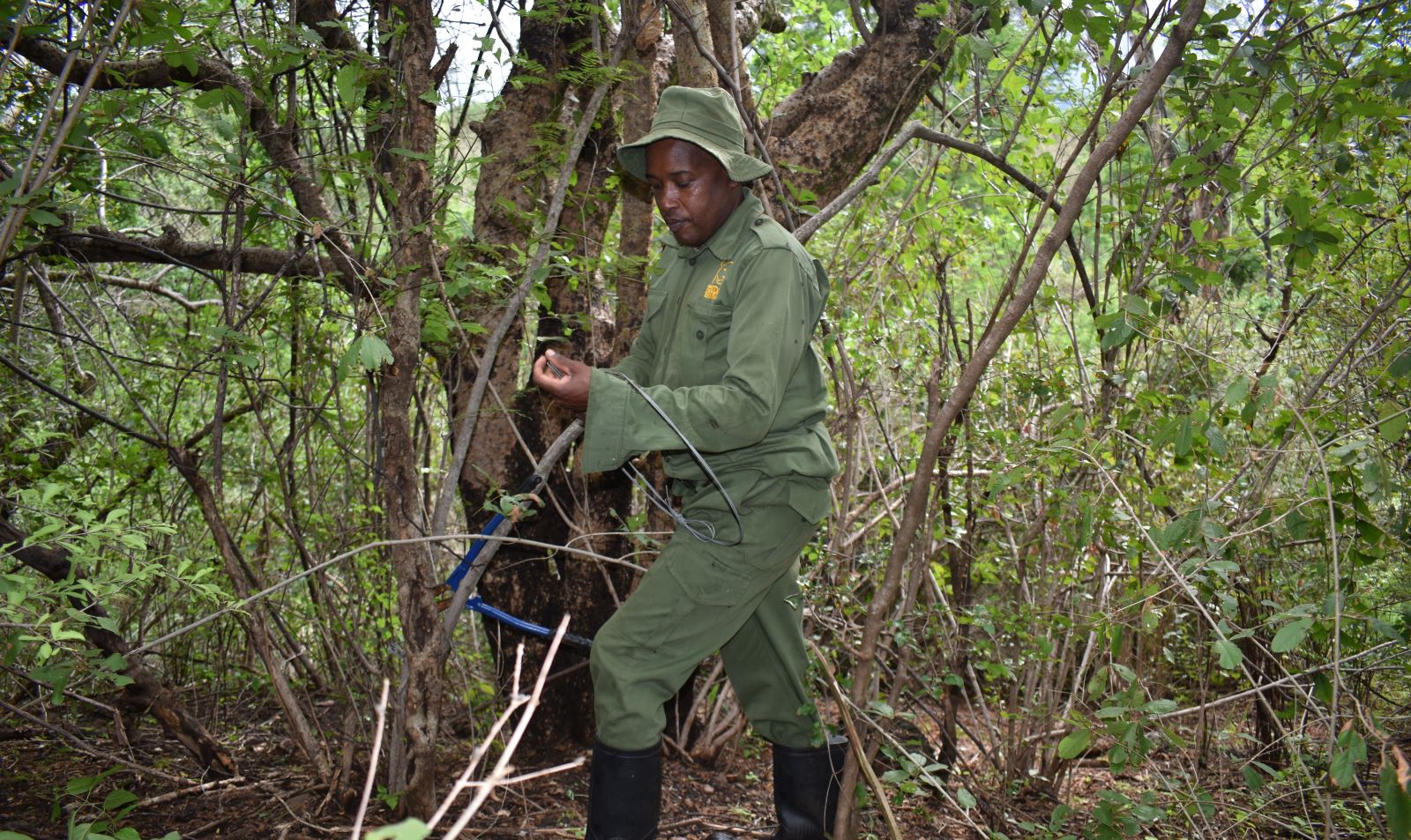 shadrack_kimeu_in_the_field