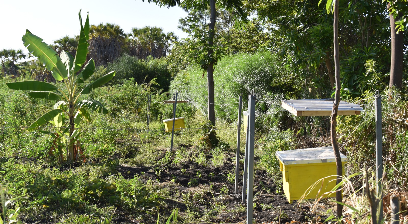 beehive_fence_installation_in_meru