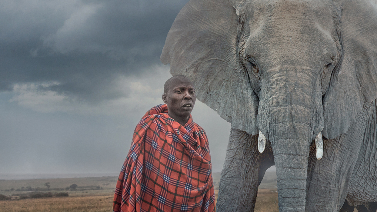 Image of a Masai man superimposed next to an elephant
