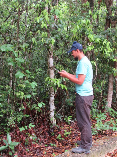 A photo of a man conducting a survey of trees