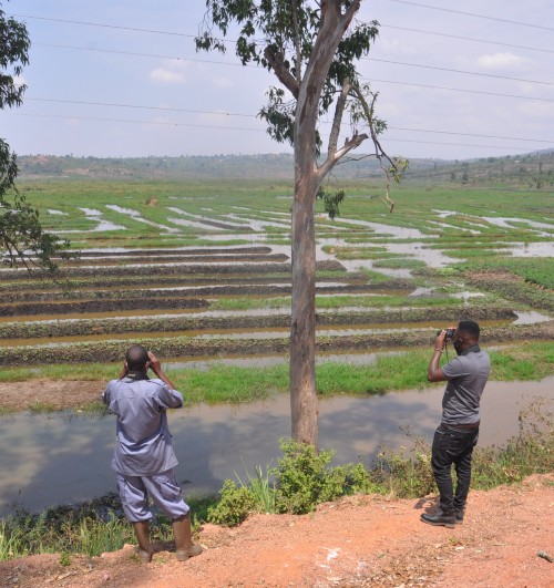 Two men standing with their backs to the camera, looking through binoculars at open countryside, with rows of crops, a river and trees.