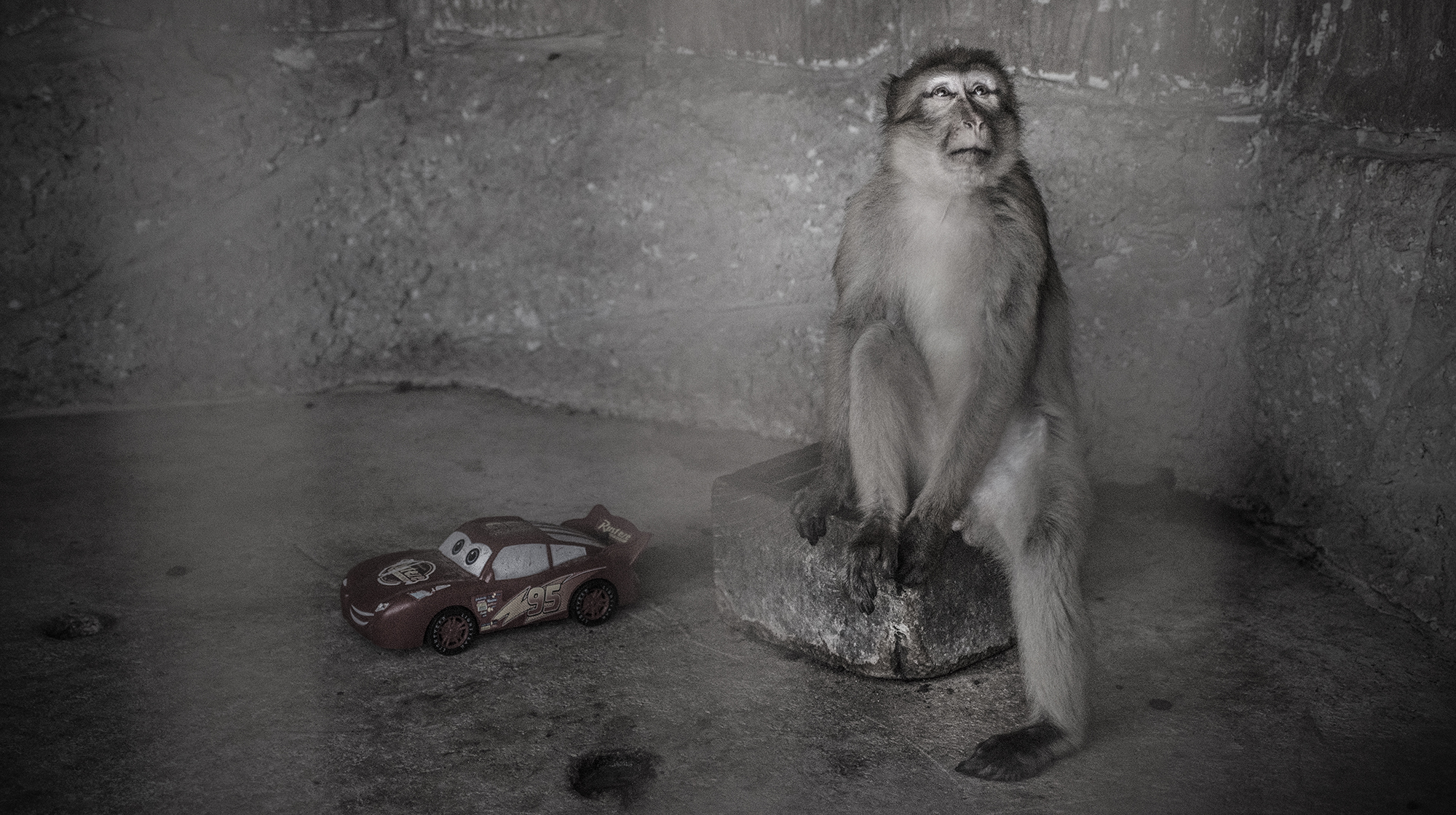 A monkey standing in a dark and dingy enclosure with a toy car on the floor next to it