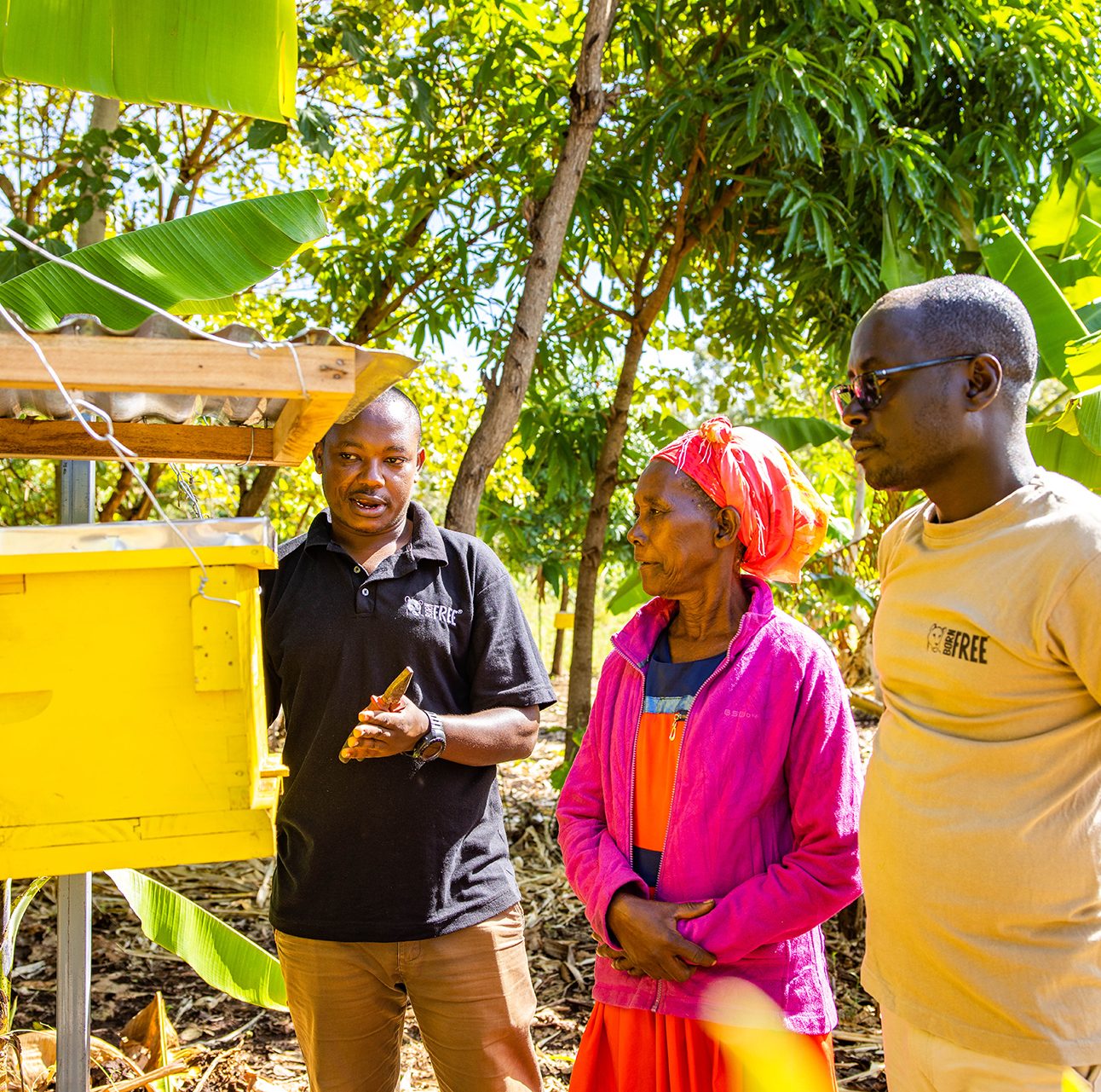 A local woman is being shown a yellow beehive by two men in Born Free T-shirts