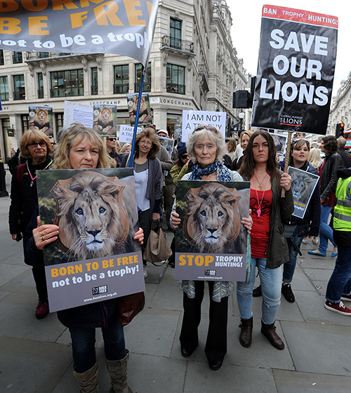 Virginia McKenna at a march to campaign against trophy hunting
