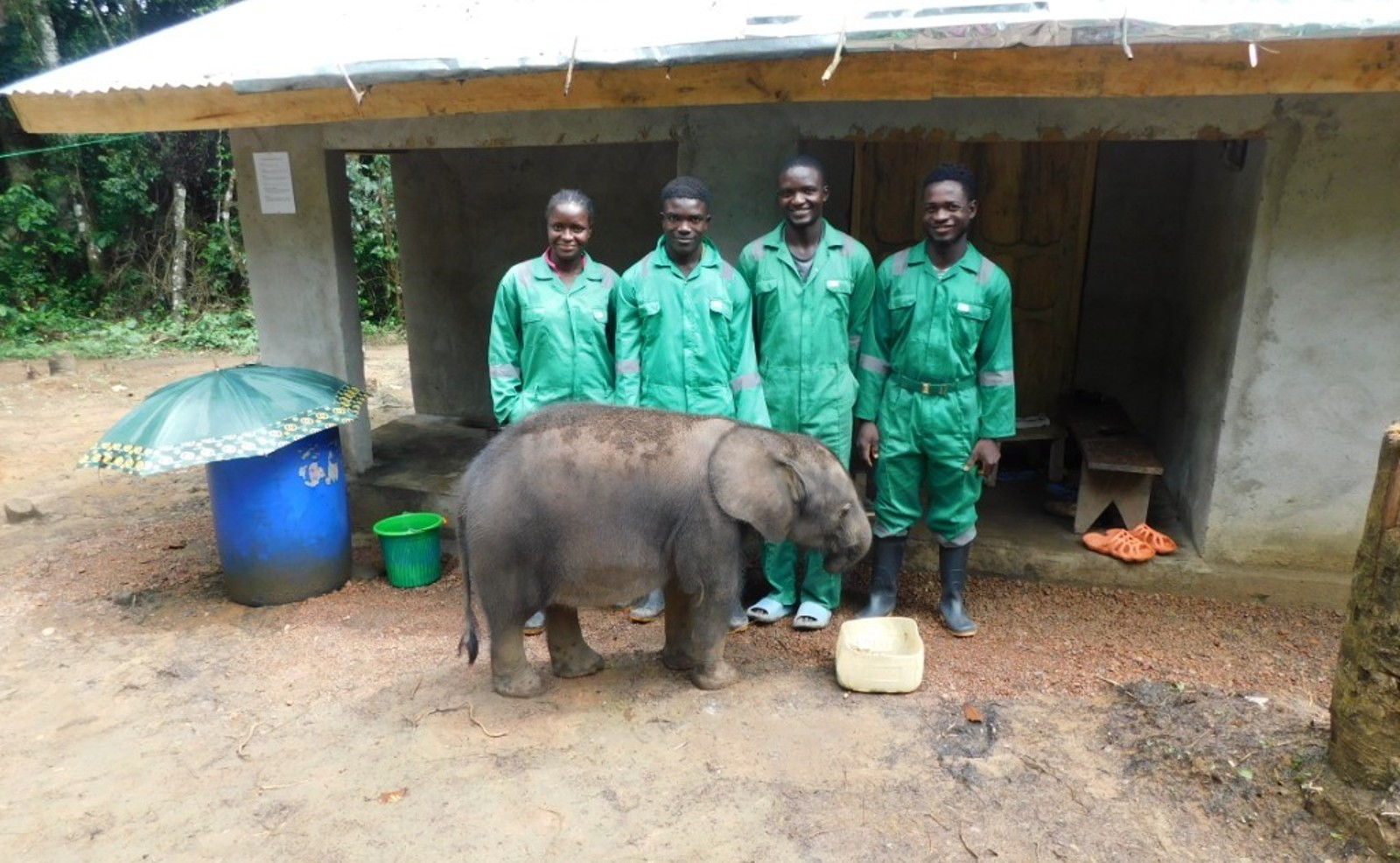 Noku with her carers