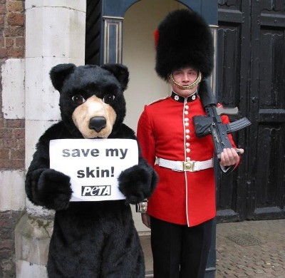 A photo of a person in a bear costume, holding a sign saying 'save our skins'. The bear mascot is standing next to an Army officer wearing one of the traditional bear fur hats.