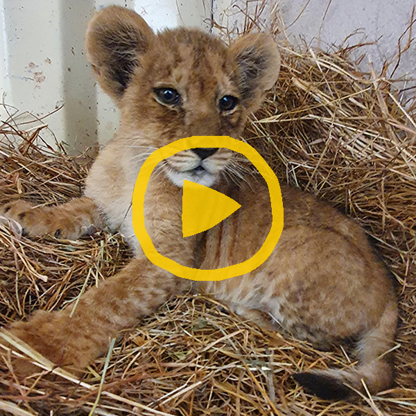 Watch our appeal video