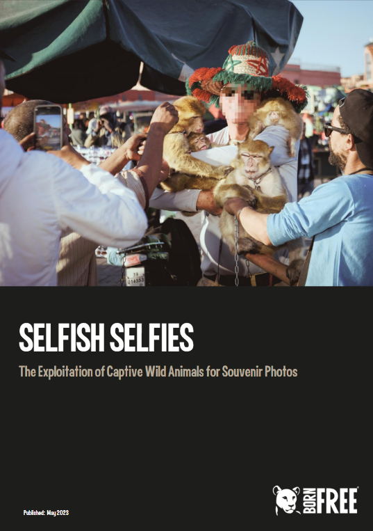 Front cover of a report titled 'Selfish Selfies'