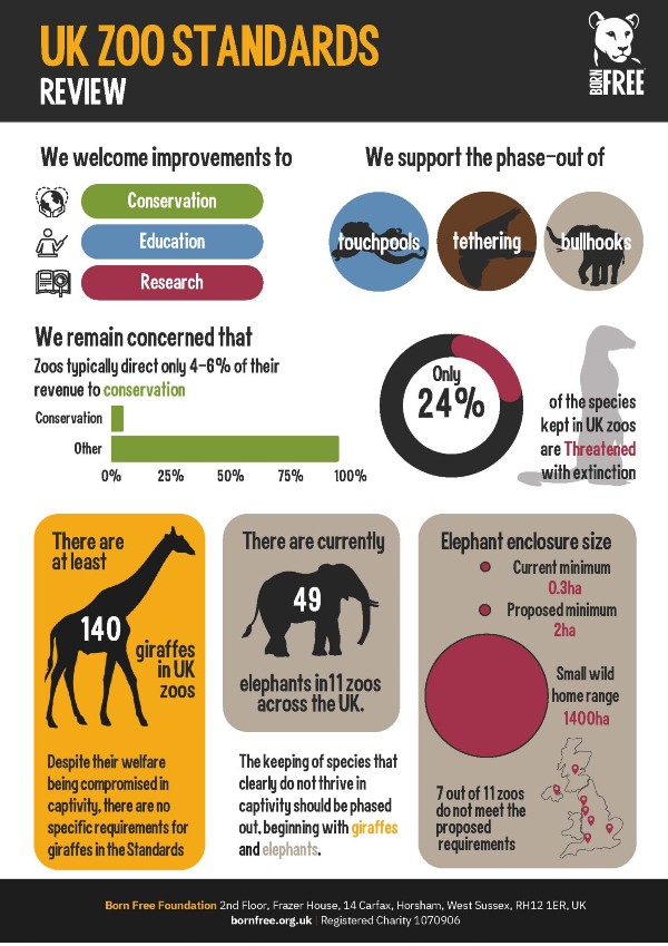 A Born Free infographic showing improvements to Zoo Standards needed