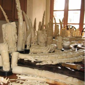 Ivory items