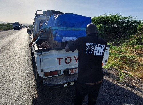 A photo of a Toyota Van being loaded-up by a man wearing a Born Free rescue team t-shirt.