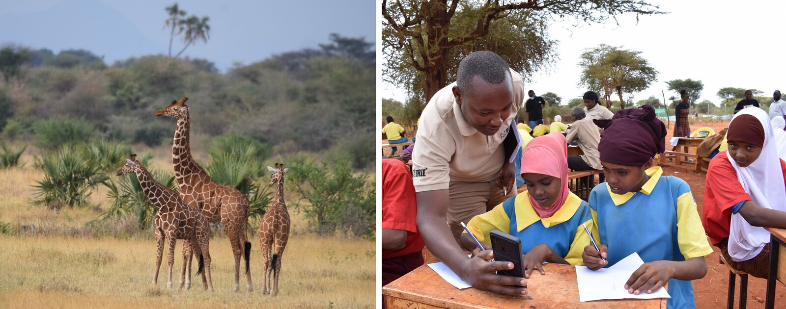 Two photos side by side. One of a family of wild giraffe in the savannah and another of a group of school children in Kenya taking part in Born Free activities