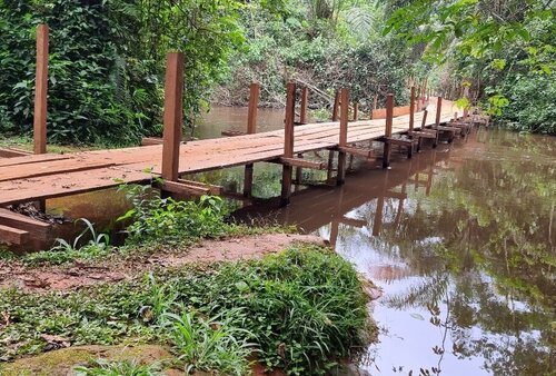 A photo of the finished bridge stretching across the river within a rainforest 