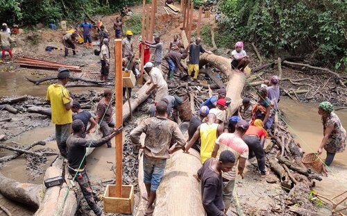 A photo showing a group of people standing on a riverbank, using fallen trees to construct a bridge
