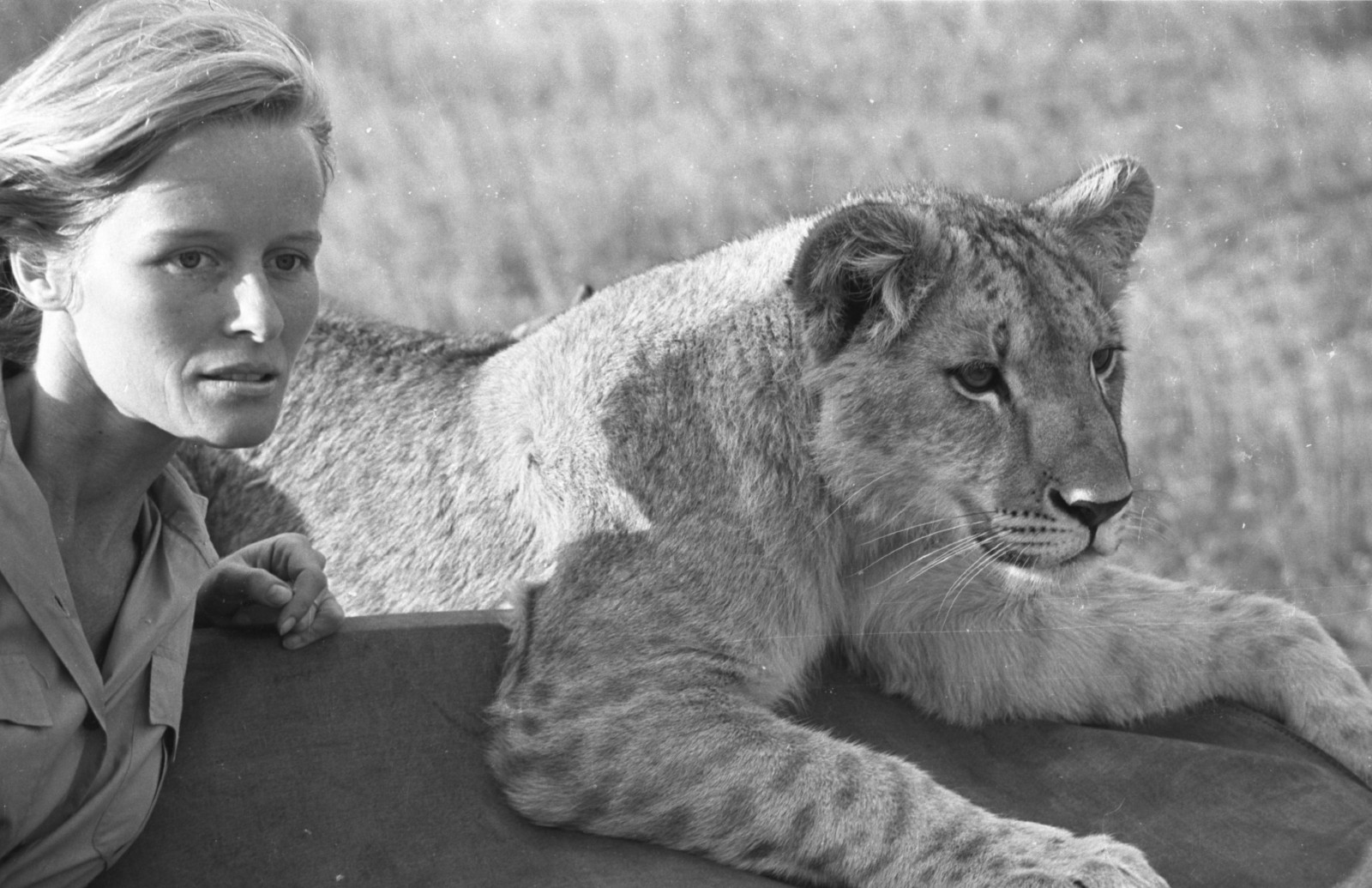 A black and white photo of a lady reclining next to a young lion from the film Born Free