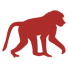 Baboon illustration