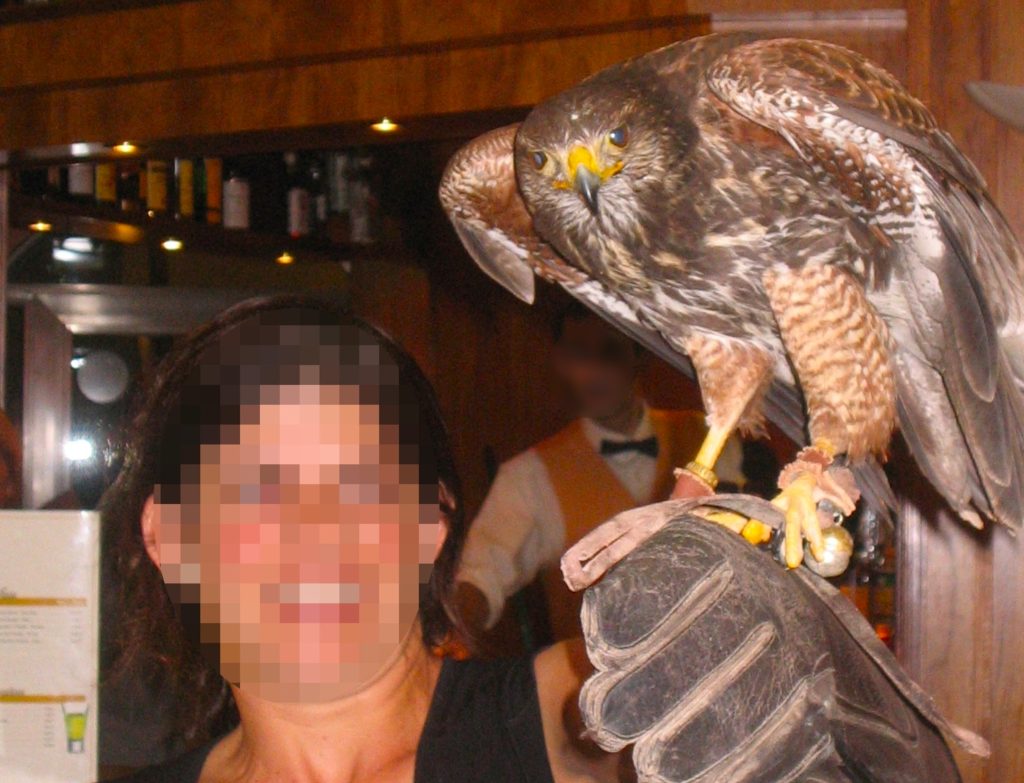 A woman holding a bird of prey on her gloved arm