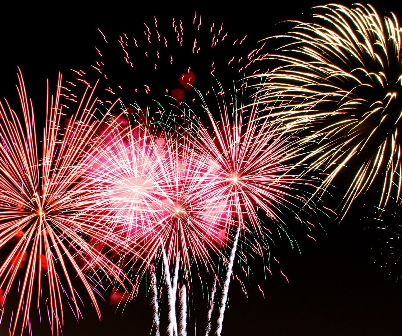 Several colourful fireworks exploding in the sky