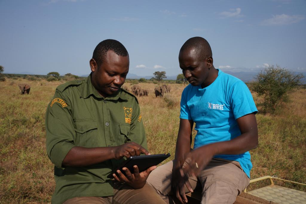 Two men in Born Free uniforms tracking elephants in the wild