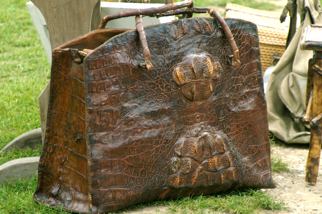 A handbag made from crocodile skin, with the snout still visible on the bag.