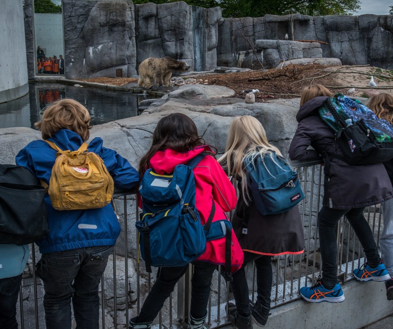 A group of school children standing next to a zoo enclosure, looking at a captive brown bear