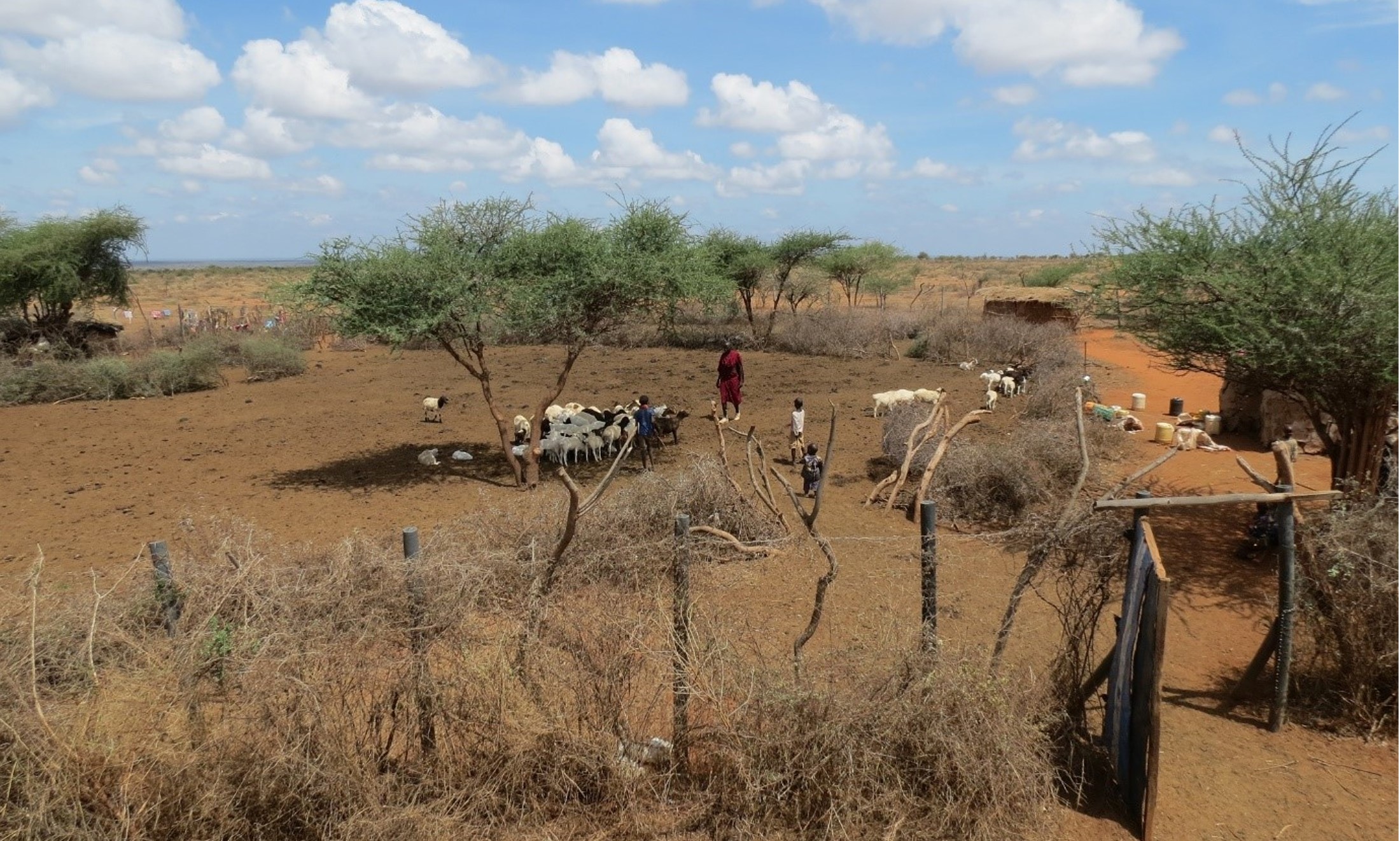 Predator-proof boma in Amboseli 