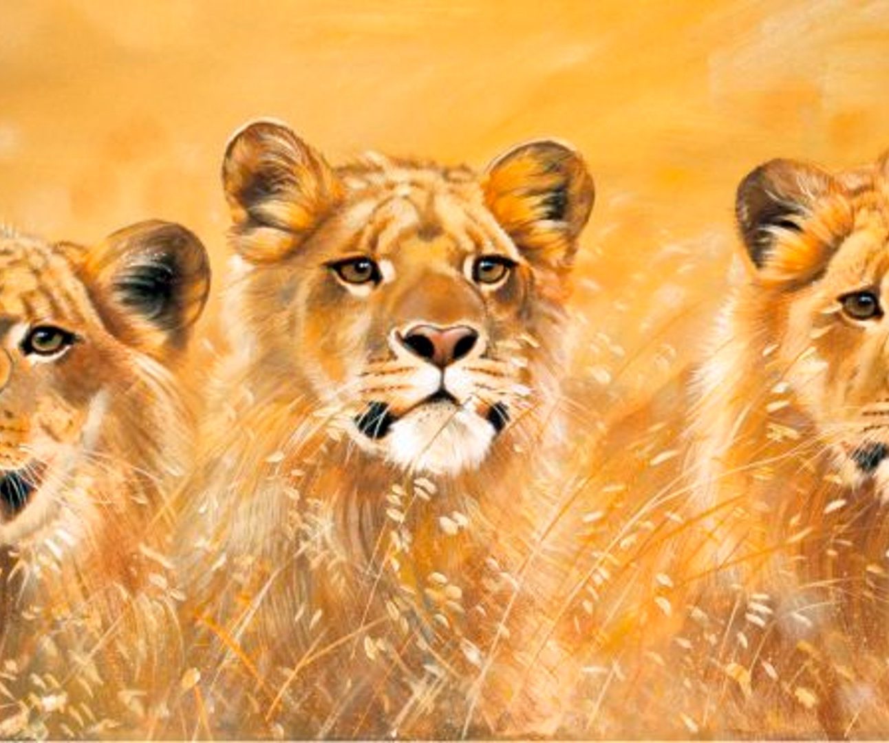 A painting showing three lionesses peeking out from behind long grass