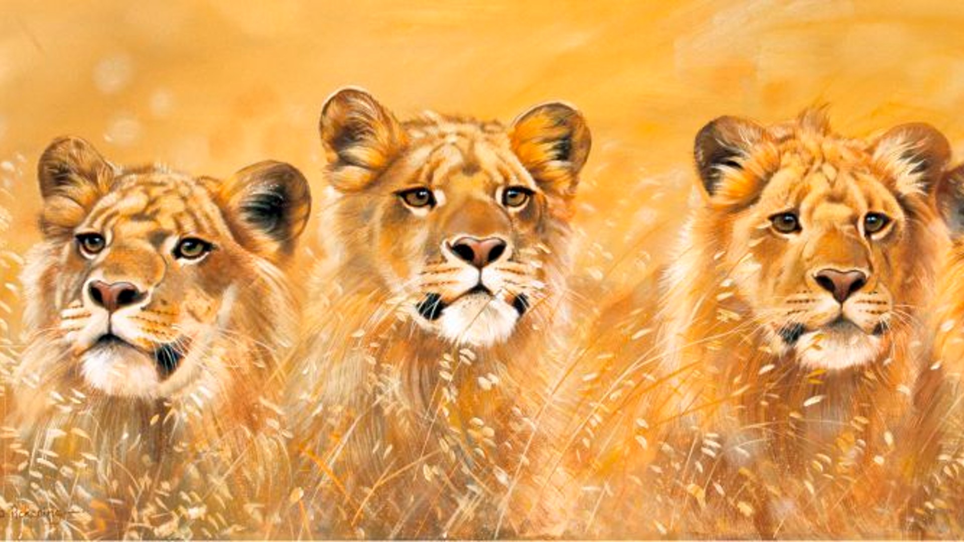 A painting showing three lionesses peeking out from behind long grass