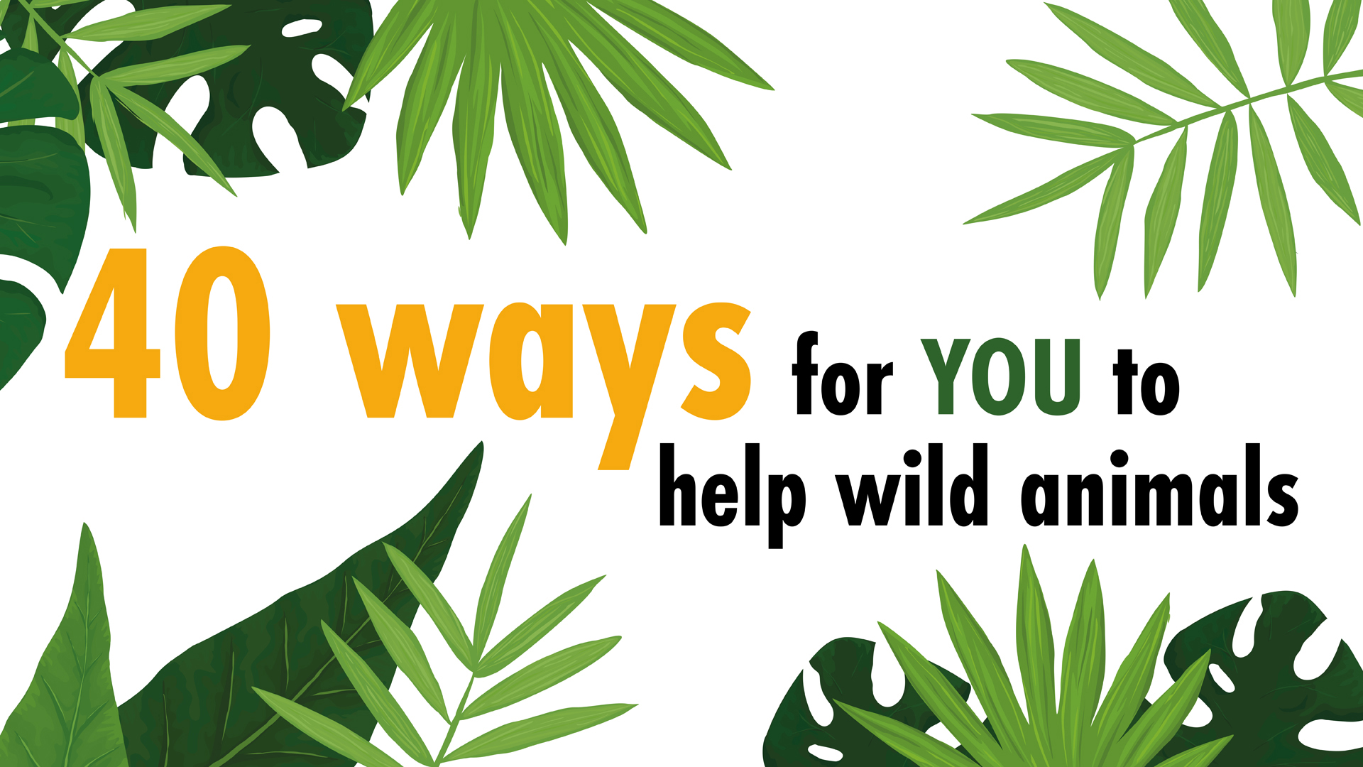 A banner with leafy border and text reading '40 ways for YOU to help wild animals'