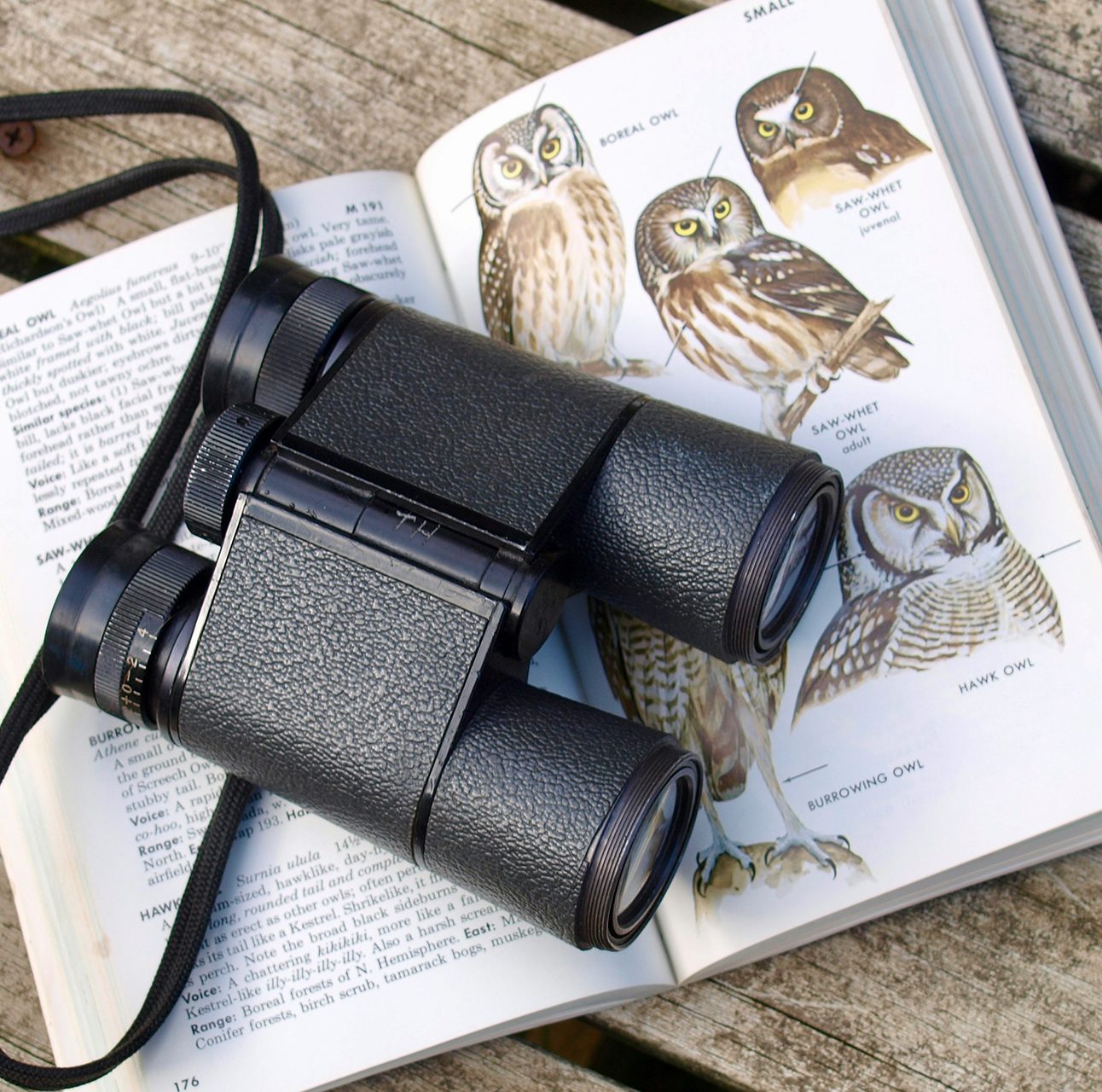 A black pair of binoculars on top of an open book with images of owls on the pages