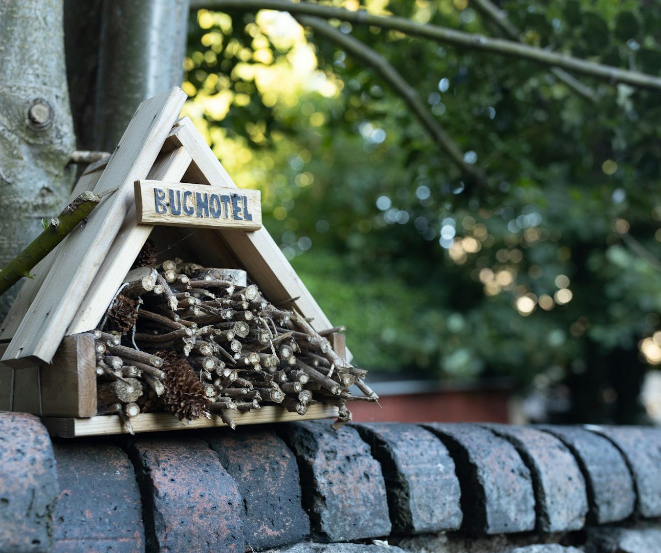 A small wooden house filled with sticks, with the words 'Bug Hotel' on the front, on top of a wall