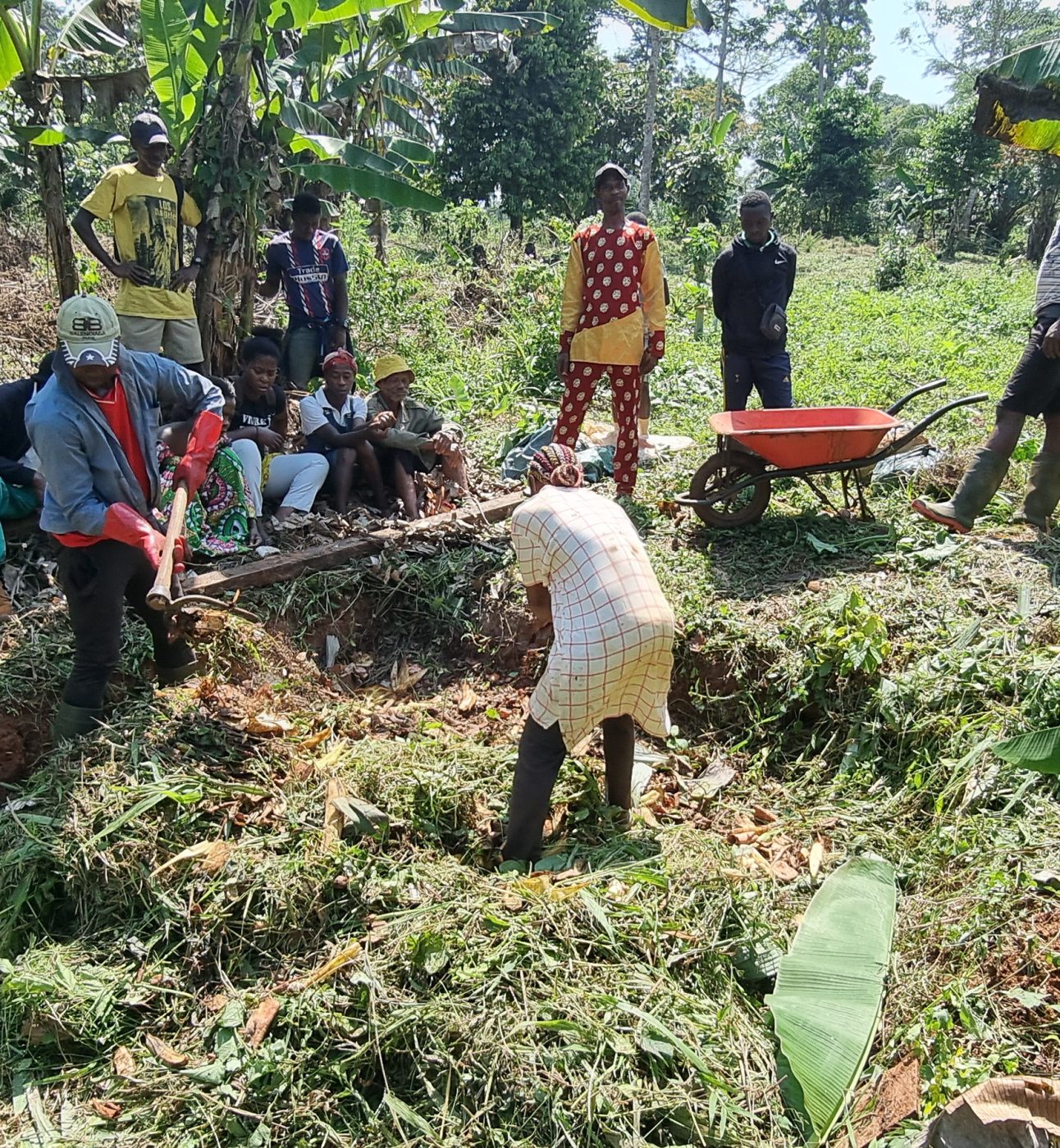 Practical Training on the Production of Compost