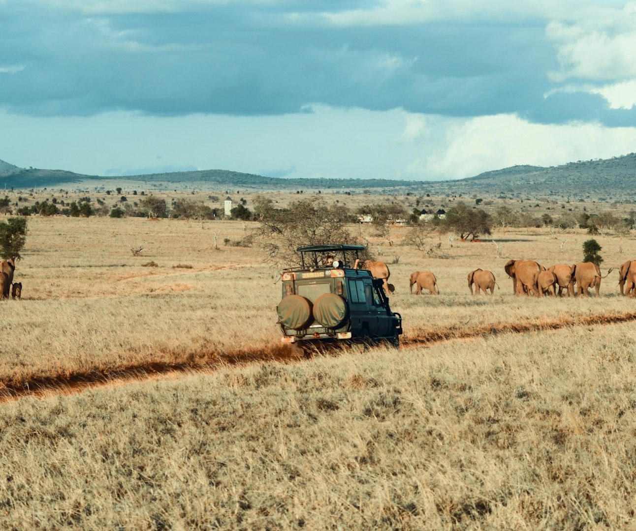 A jeep on a dirt track driving through an arid landscape, with elephants in the background