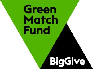 The Green Match / Big Give logo