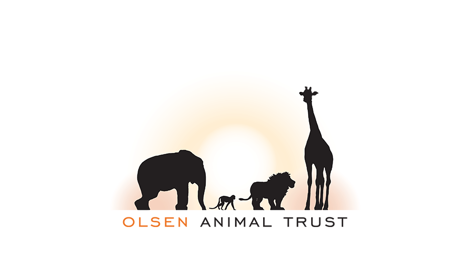 Olsen Animal Trust logo