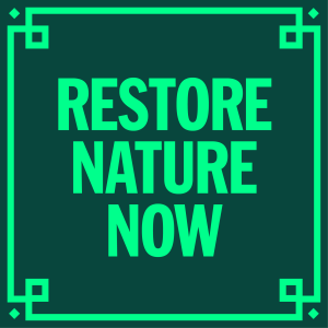 Restore Nature Now logo